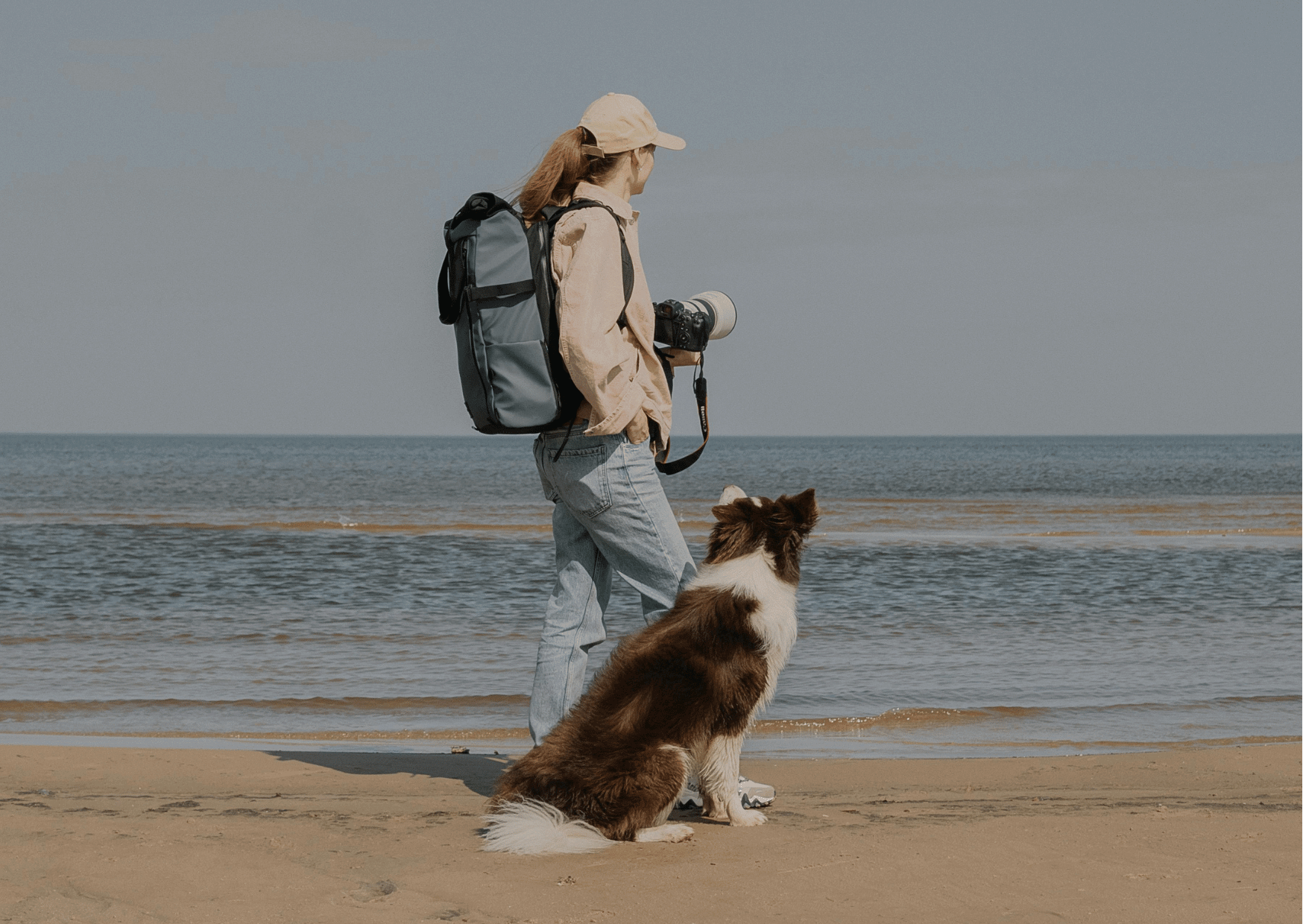 Carnimed_blog_reisen mit dem Hund 2 Carnimed_blog_reisen mit dem Hund 2