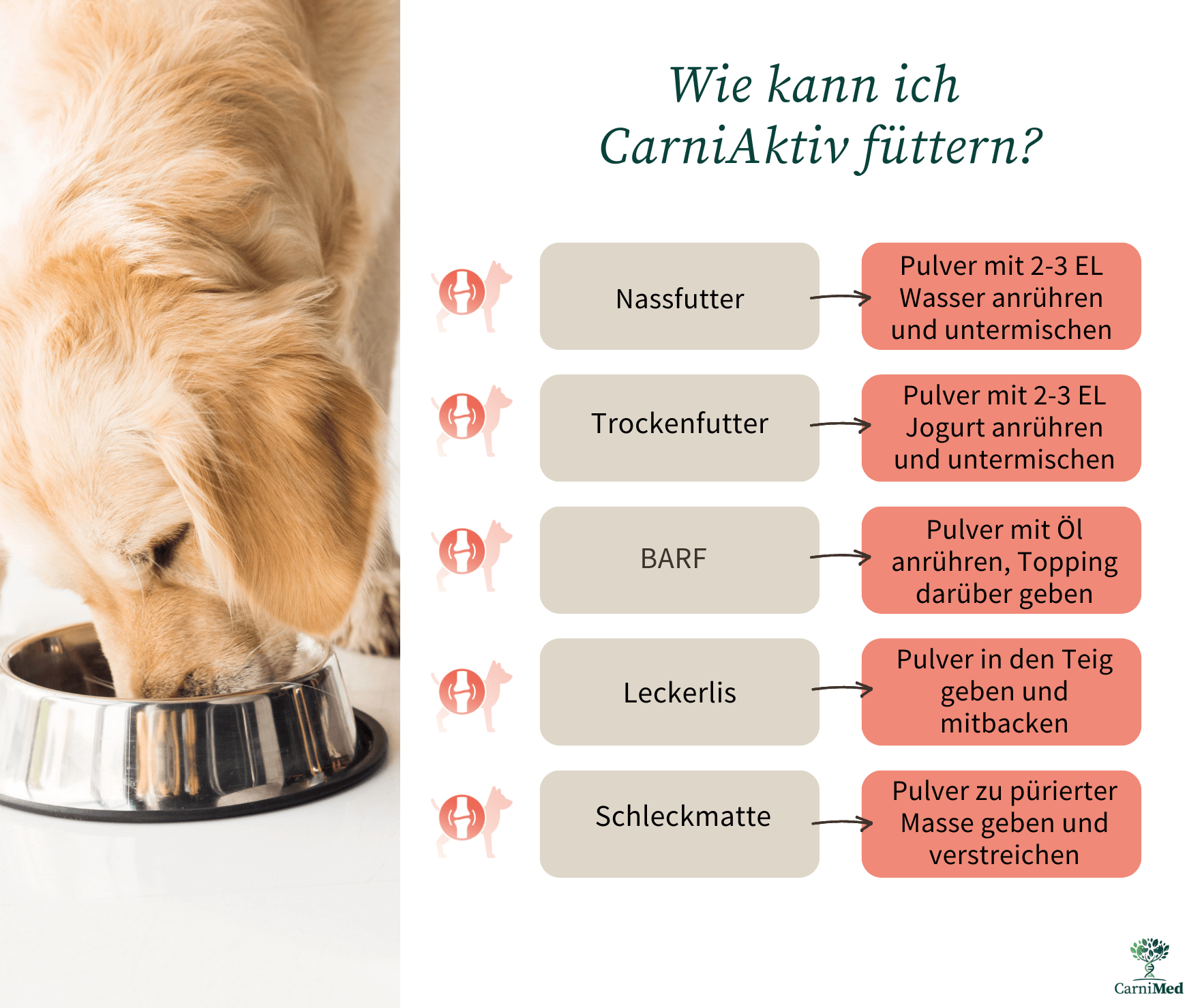 CARNIMED Ergänzungsfutter CARNI DIGEST für Hunde 250g, 32,00 €